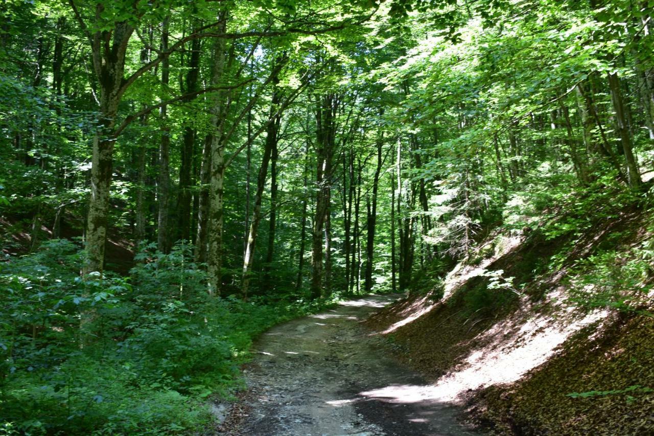 Гостьовий будинок Plitvice Panta Rei Плитвицька Єзера Екстер'єр фото